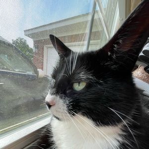 Meet your Posher, Leah